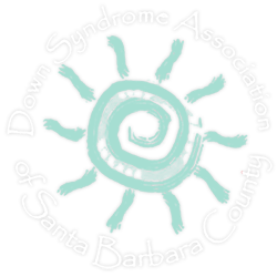 DSASBC.png