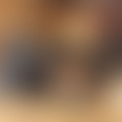 19世紀の弓－ヴィエニーズボウ：ウィーンにて　Part2