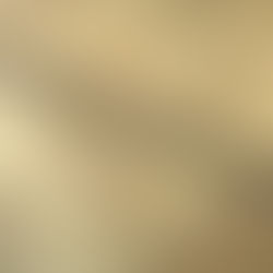 ドラゴネッティはどのような人であったのか