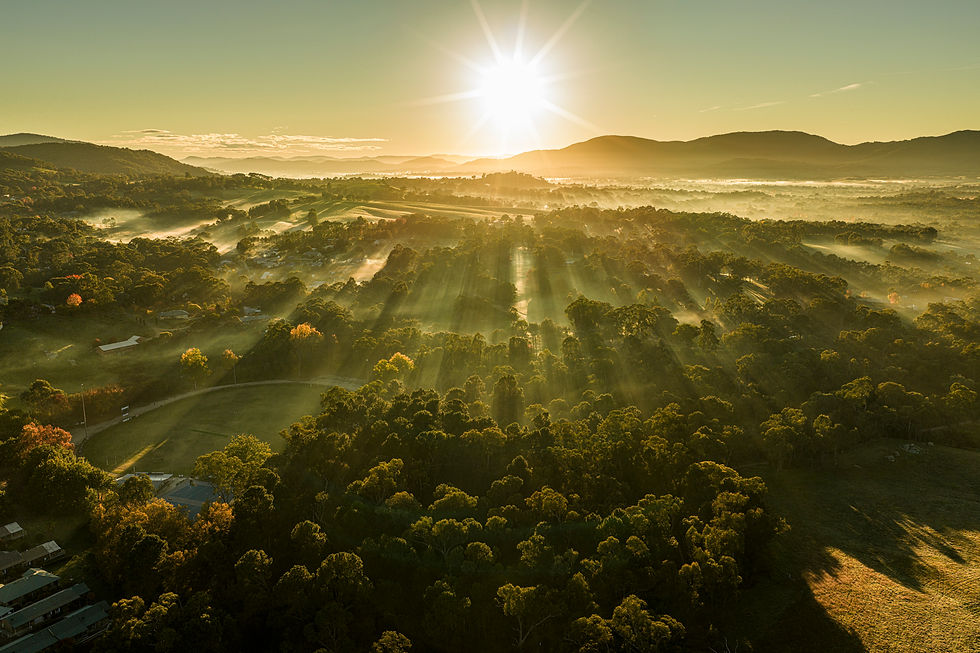 Sunrise over a foggy morning in Yackandandah