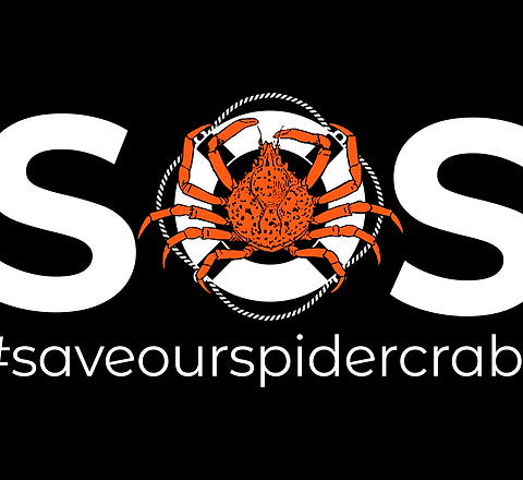SOS Black Website.png