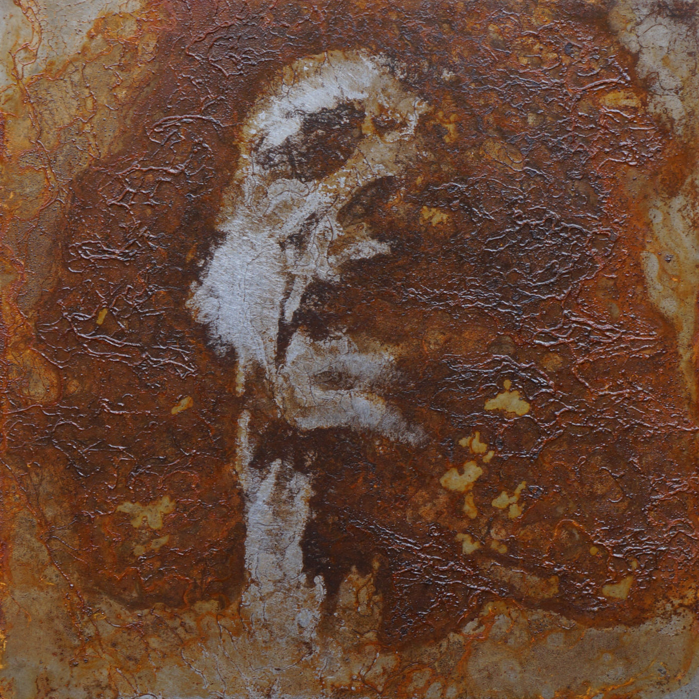 BERTRAND PEYROT | ANONYMOUS  N°193 (2016)