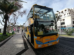 IMG_20240116_124206.jpg