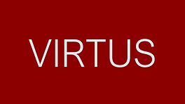 VIRTUS_NEW LOGO_ARIAL.png