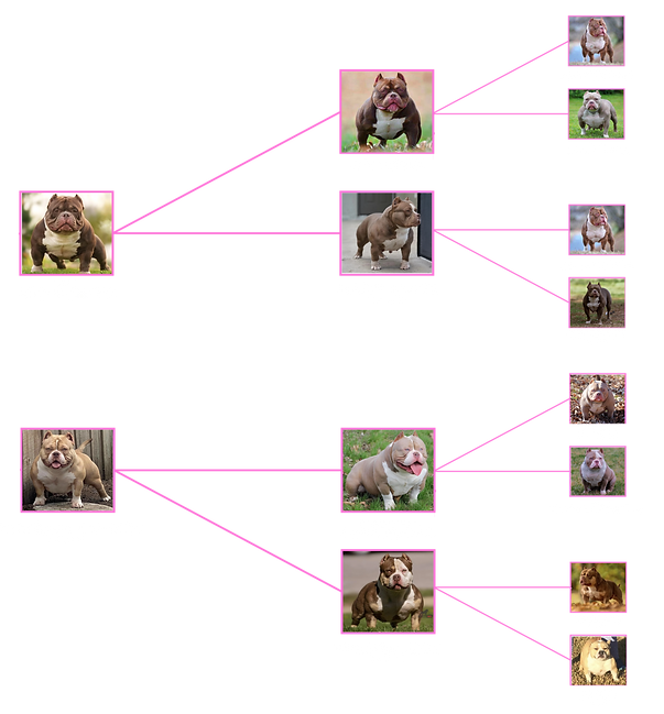 JUICE FULL PED.png