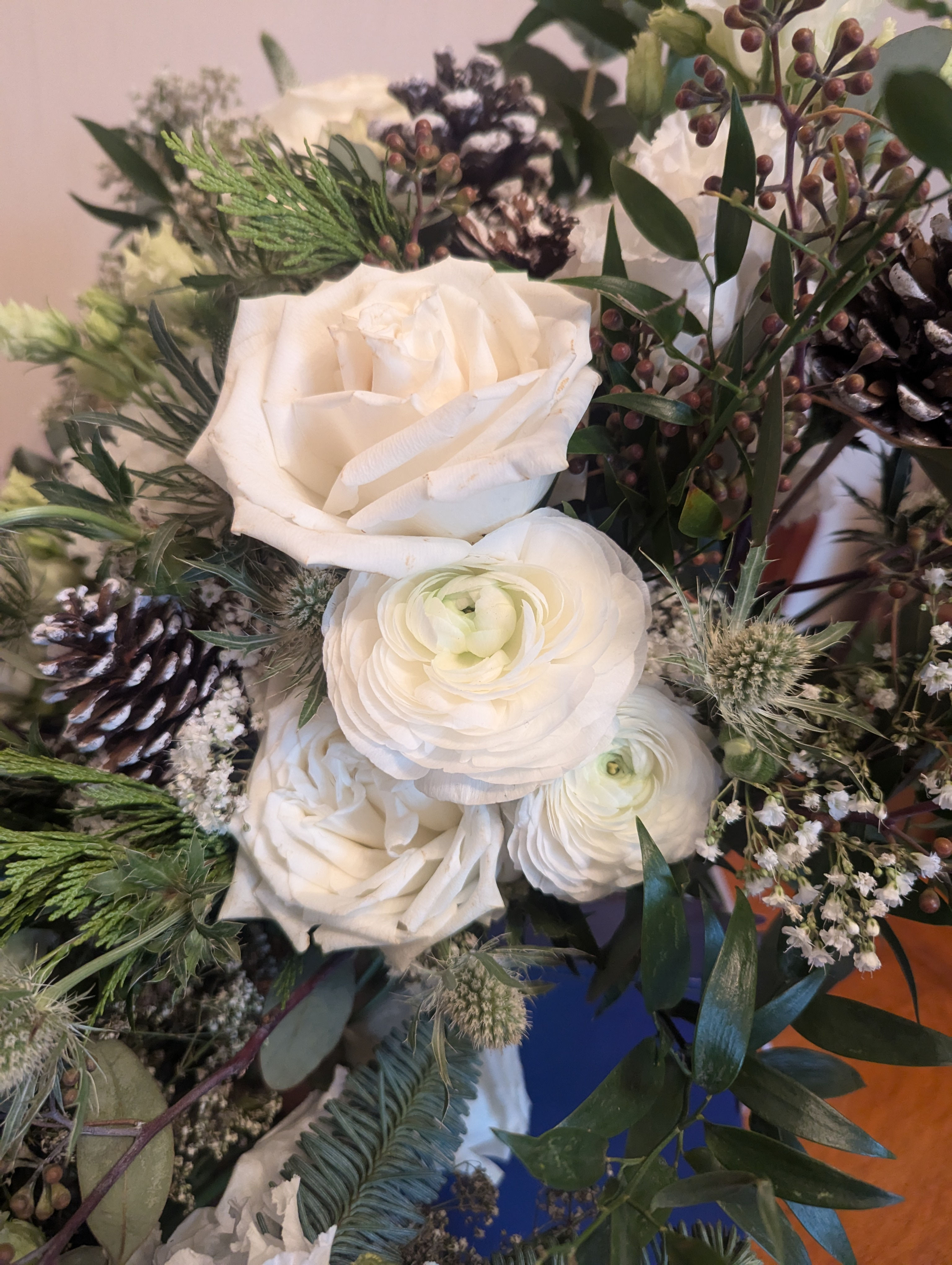 Sophie Carlin paid (30th Dec)