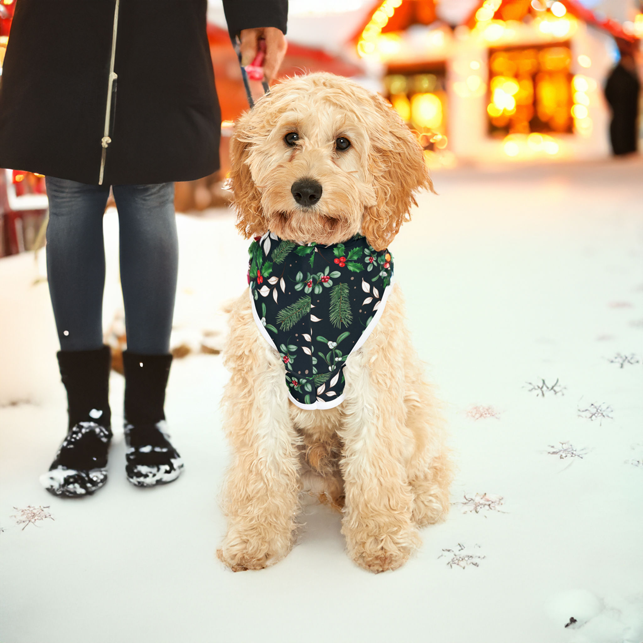"Holly Jolly" Pet Hoodie