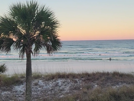 Lessons from the Ocean: Embracing Life's Natural Flow