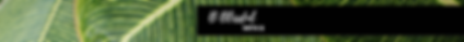 Rich Foliage Banner (3).png