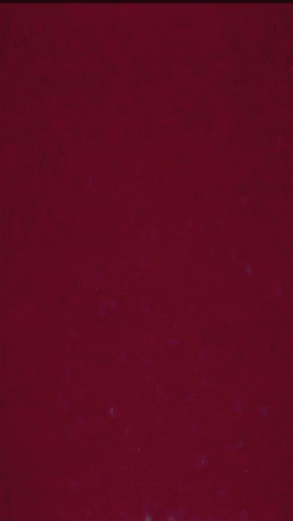 kolya.gif
