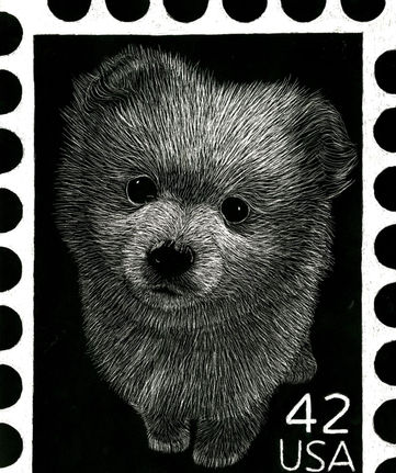 scratchboard drawing of Pomeranian stamp