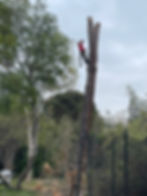 IMG-20230221-WA0005[1]