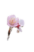 unsplash-zKZ7oiPKS60_edited.png