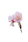 unsplash-zKZ7oiPKS60_edited_edited.png