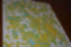 Thumbnail: 11X14 ACRYLIC CANVAS PAINTING- FROGGY DRIP