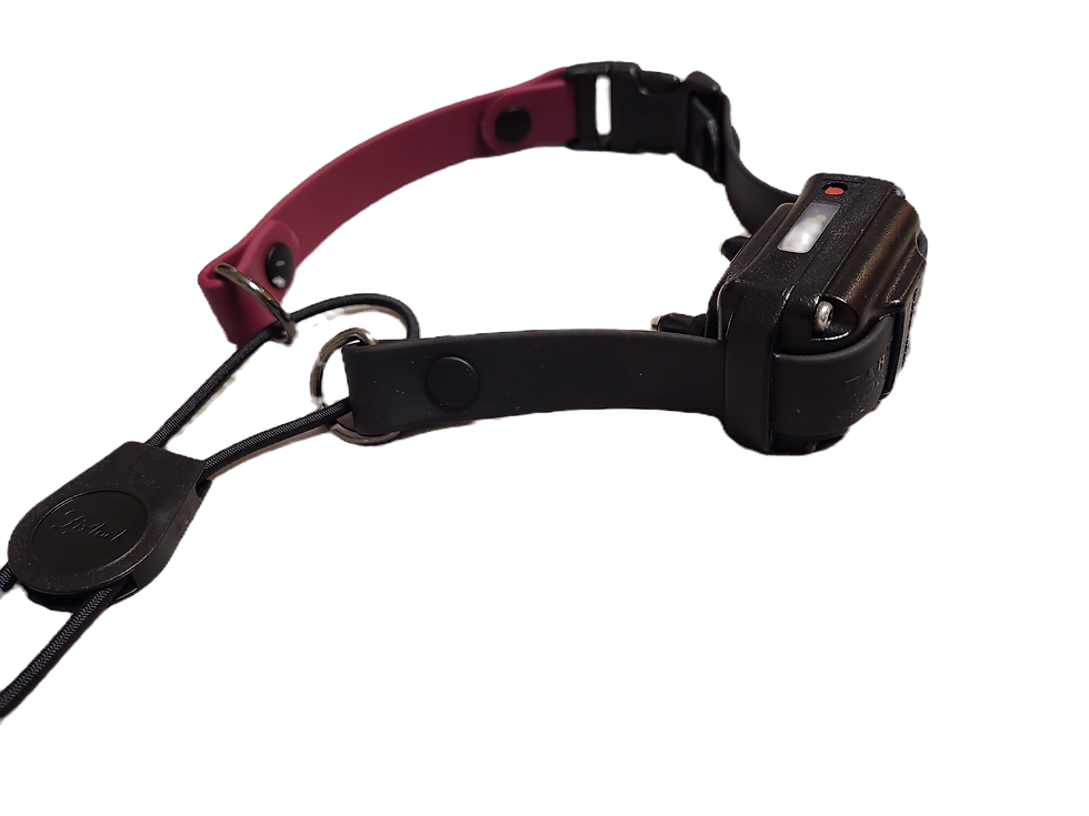 Thumbnail: Bark Basics Quick Release E-Collar Bungee