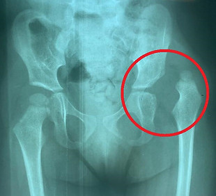 WhatsApp Image 2022-10-23 at 13.07.48.jpeg