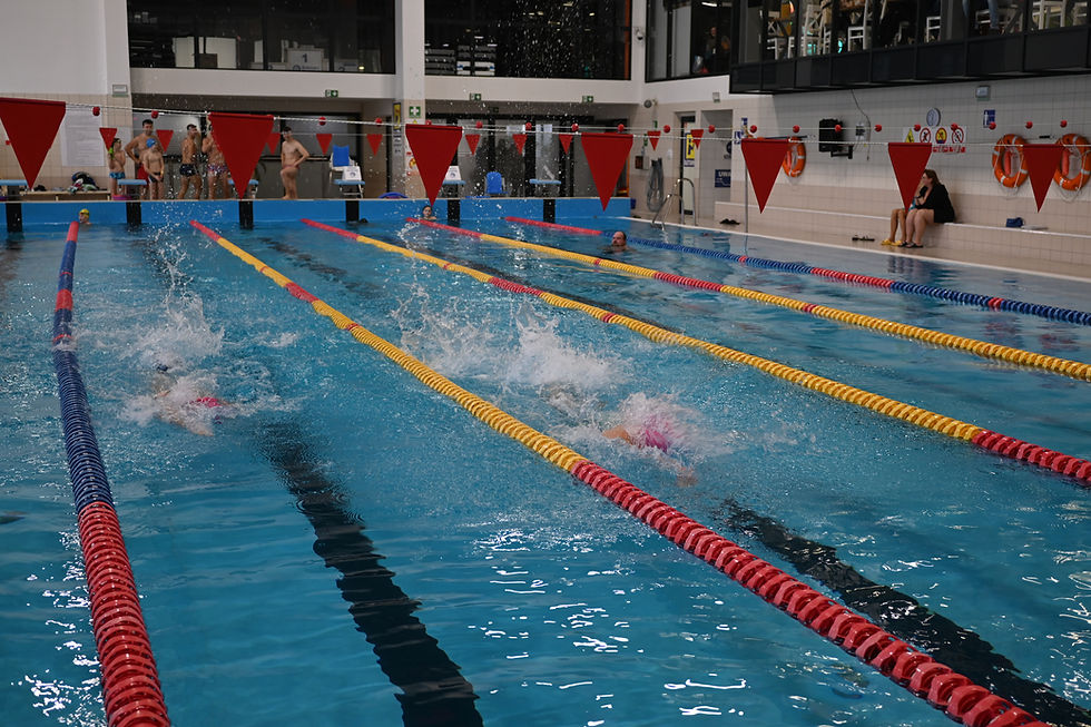 DSC_2369.jpg