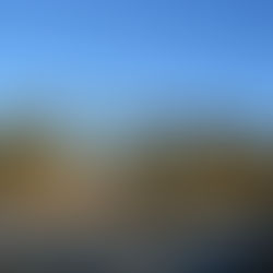 Loving these sunny frosty days