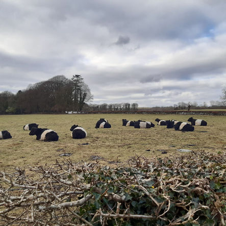 What else do you do on a Sunday morning?