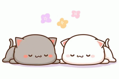 kitty19.gif