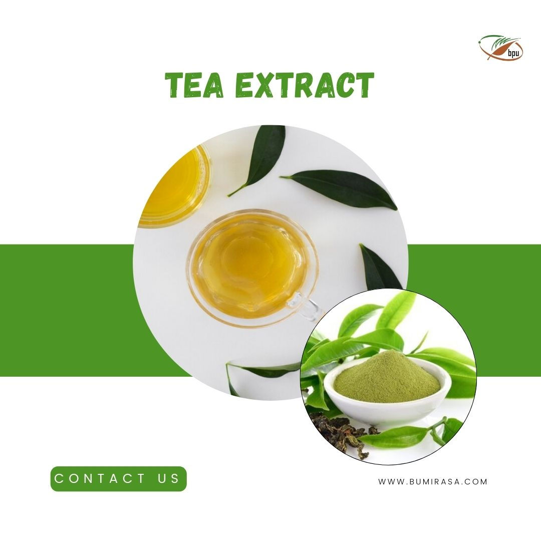 Tea Extract