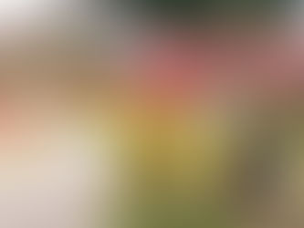 感動のおしウリ