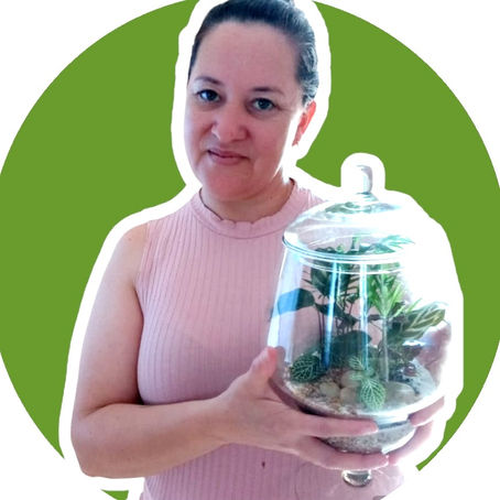 Márcia Moraes - Floresta no Vidro Terrários