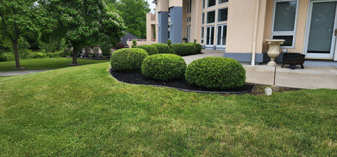 Spring clean up, Mulch and Trim bushes