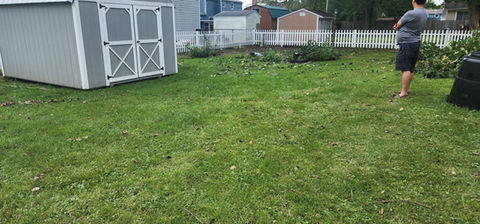 backyard with poor drainage  