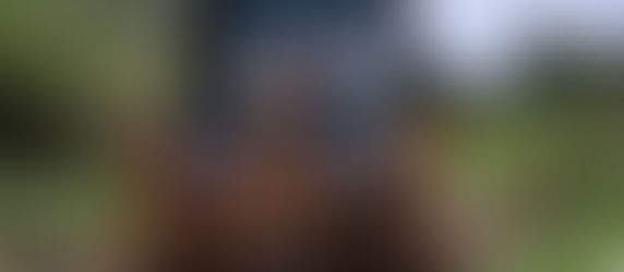 Juanita Carrillo pone fin a un rezago histórico de drenaje en Parque San Mateo