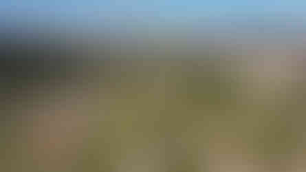 Aerial view of a city park with green spaces and playgrounds