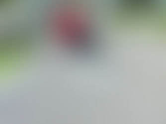 Restoring More Than a Roof 