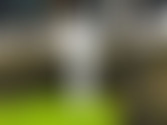 Niart2023.03.31 Luxembourg , Trip of A Au