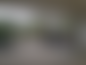 Niart2023.03.17 Hong Kong Flower Show, Victoria Park, Causeway Bay