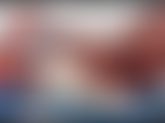 Niart2023.12.04 Bisonte, Apache & Siouxs: Atlantic Toy