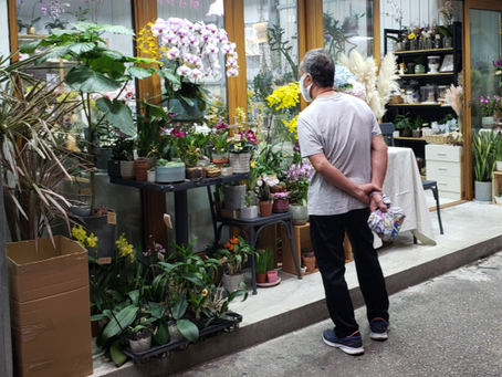 Niart2023.03.31 Yuen Long Flower Shop