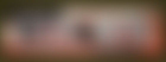 Niart2023.12.09 Canadian Mounted Police - BRITAINS SWOPPET