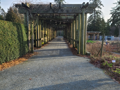 Niart2022.01.13 UBC Botanical Garden, Vancouver, Canada