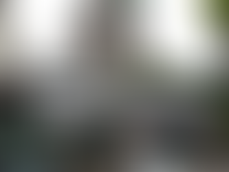 Niart2023.08.27 Chi Lok Fa Yuen, Tuen Mun, Hong Kong