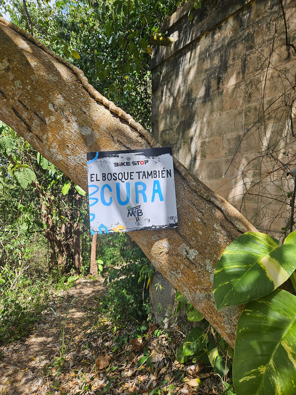 El Bosque es Sanador...