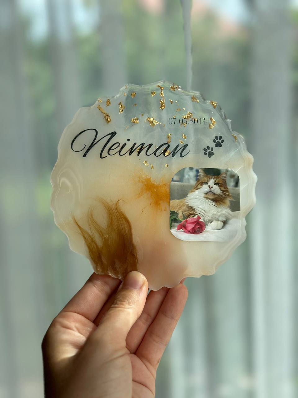 Thumbnail: Personalized Companion Adoption  Frames