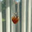 Thumbnail: Heart Shaped Pendant with Inclusion
