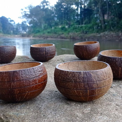 aharya Coconut Shellware