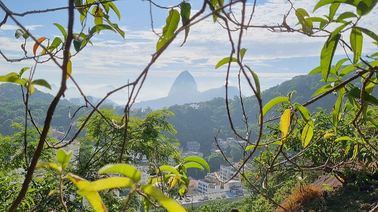 WhatsApp Image 2024-02-16 at 19_edited.jpg