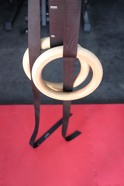 Gymnastics Rings