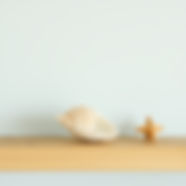 seashell on shelf clean aesthtic.jpg