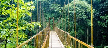 Chikmagalur, Udupi and Mangalore Coorg 4 Days Tour Package from Mangalore