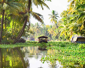 Alleppey Tour Packages