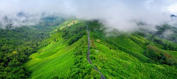 Ooty, Coorg & Wayanad 6 Days Tour package from Coimbatore